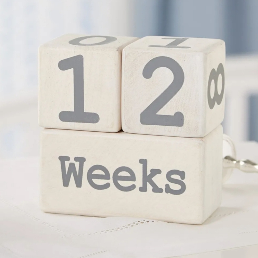Mud Pie Milestone Blocks White & Gray